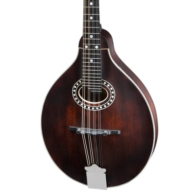 Eastman MD304 Mandolin A-style with Oval Hole and Classic Finish, with gig bag image 3