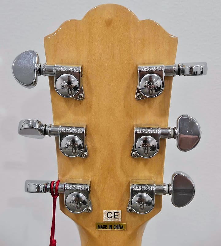 Washburn HB-30 | Hard Shell | Fast Shipping | Reverb