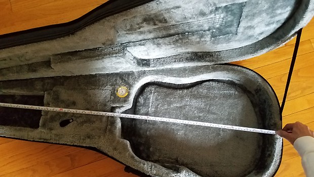 Wolfpak acoustic guitar case best sale