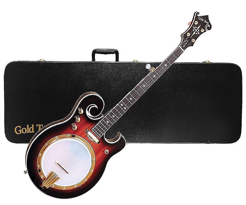 Gold Tone EBM-5 Electric Solid Body Maple Neck Mahogany Top 5-String Banjo w/Hard Case - (B-Stock) image 1