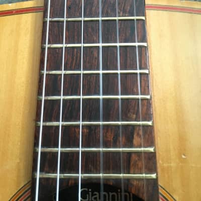 Giannini  1960's? Classical guitar, must see, nice, Brazil made. image 10