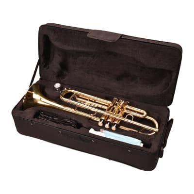 Buy Gold Brass Trumpet online & Upgrade your Sound - Kadence