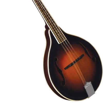 Morgan Monroe MM-100AM Spruce Top Mahogany Neck A Style 8 String Mandolin for sale