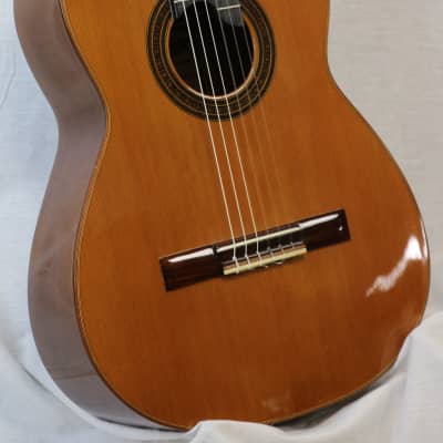 Superior Brand Classical Cutaway Guitar - Made in Mexico - Berkeley Music Instrument Co. image 3