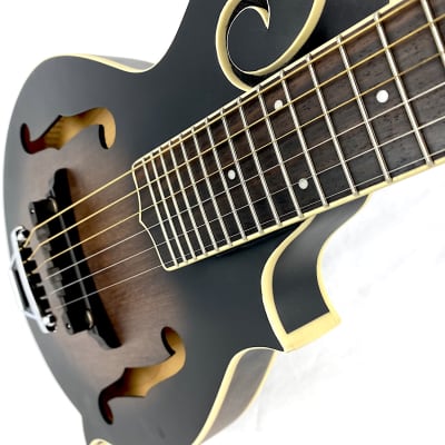 Gold Tone F6 F-Style Mando-Guitar w/ pickup image 7