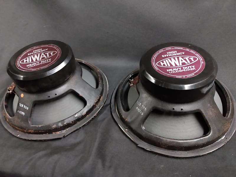 当社オリジナル HIWATT FANE スピーカー 16 - 楽器/器材