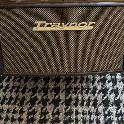 1960s Traynor YVM-1 Voice Master Vintage Tube | Reverb Canada