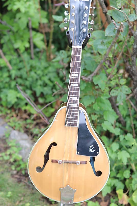 Epiphone mandolin 1970's - natural | Reverb