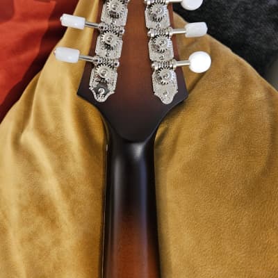 KR Strings Octolindo F Deluxe 2023 w/ Custom Pickguard - Octave Mandolin (w/ Video) image 7