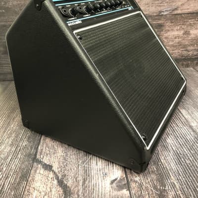 Acoustic AG30 Acoustic Guitar Amplifier (Indianapolis, IN) image 4