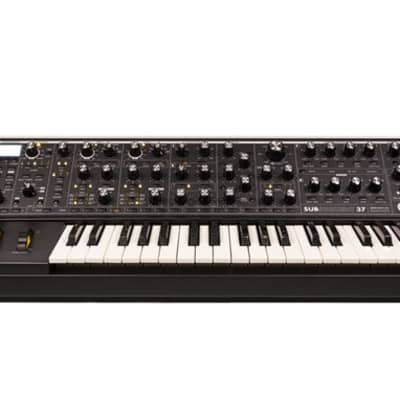 鍵盤楽器 SUBSEQUENT 37 moog synthesizer Moog SubSequent 37 Standard - Control Voltage