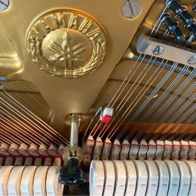 Magnificent top of the line Yamaha U3 piano image 5