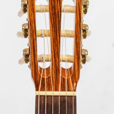Daion DC-300 Classical Guitar image 8