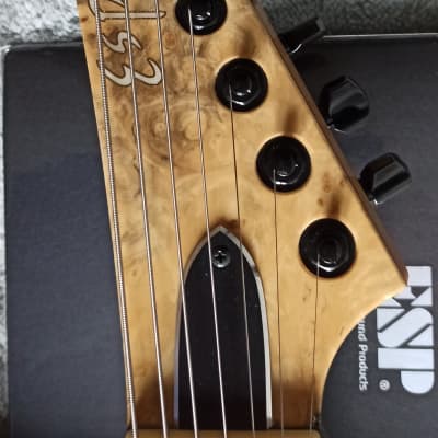 ESP Custom Shop M-II 7 NT Buckeye Burl Experimental Series 7-String Mint image 3