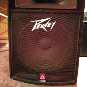 Peavey and CGM TLS 5 and APR 112H 1 Black Gray Reverb