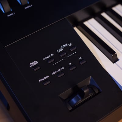 Roland Fantom-7 Workstation Keyboard - Carry Bag Kit image 14
