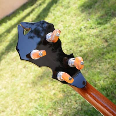 Capek Scarab five string (flathead + archtop tone ring) image 12