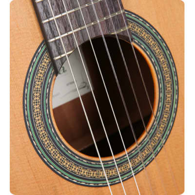 Cuenca 5 Classical Nylon Guitar Classic Solid Red Cedar Top Mahogany Spain image 4