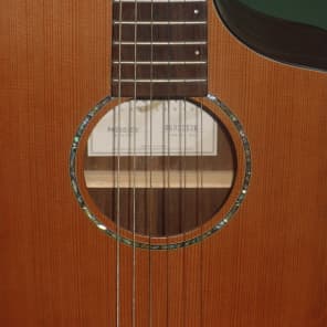 Breedlove AN 250 / CR  Natural image 8