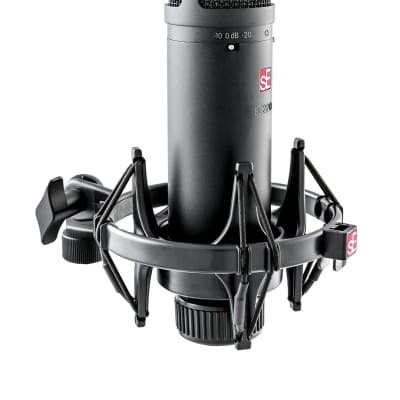 sE Electronics sE2200 | Large Diaphragm Multipattern Condenser Microphone. New with Full Warranty! image 2