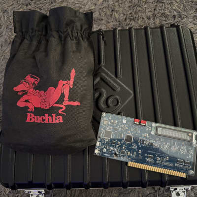 Buchla Music Easel 2010s - Silver image 7