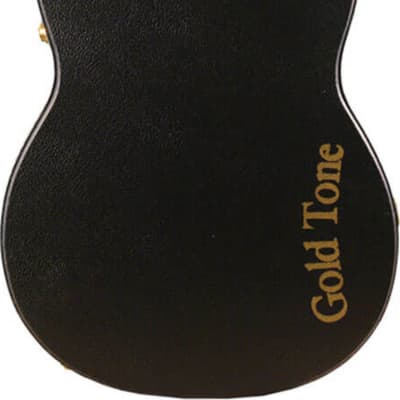 Gold Tone PBS-M Paul Beard Squareneck Resonator Guitar, Tobacco Sunburst w/ Case image 4