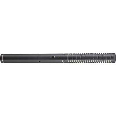 Rode NTG2 Multi-powered Shotgun Microphone with Rode WS6 Deluxe Shotgun Microphone Windscreen image 2