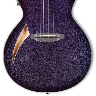 ESP/LTD Left Handed TL-6 Acoustic Electric Thin Body Guitar- Marine Burst