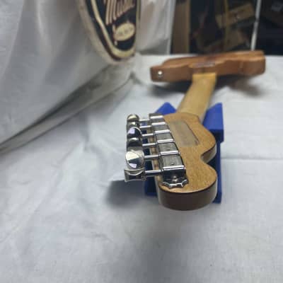 Evoke Guitars Leo Catskills T-style Singlecut Guitar image 25
