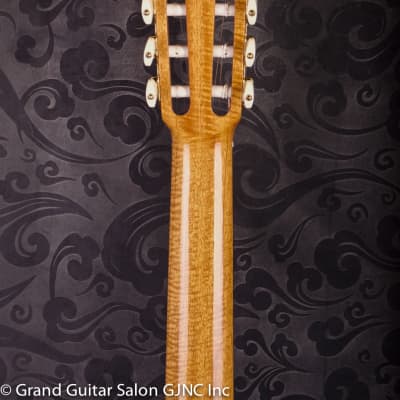 Daniel Stark "Espagnola II" classical guitar  Cedar/Wenge B & Sides image 16