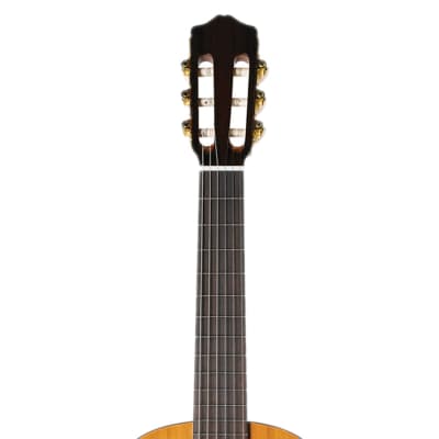 Cordoba Requinto Iberia Series 1/2 Size Nylon String Guitar - Open Box image 6