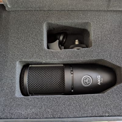 AKG P120 General-Purpose Medium Diaphragm Cardioid Condenser Microphone 2010s - Black image 2