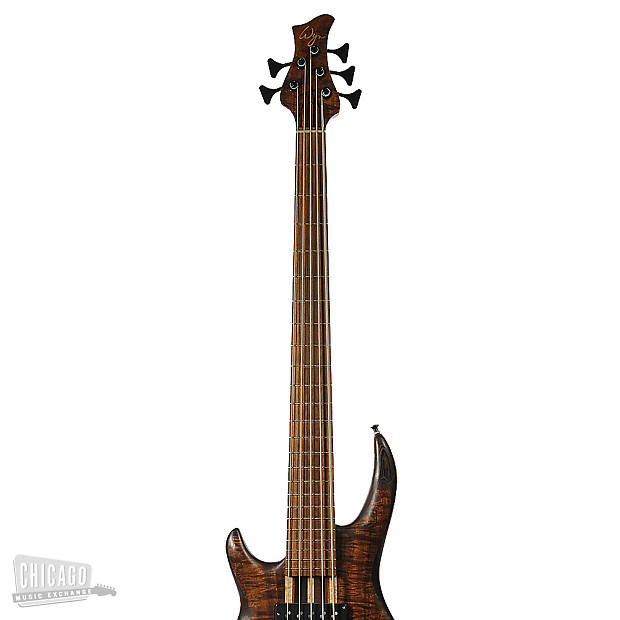 Wyn fretless bass cheap