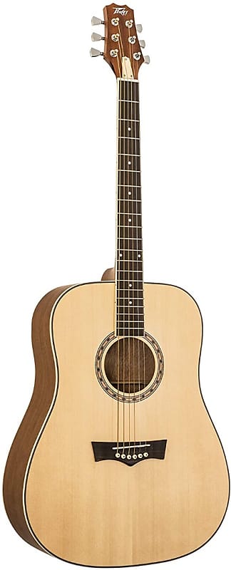 Delta Woods® CNS-1™ Classical Nylon String Guitar - Peavey Electronics  Corporation