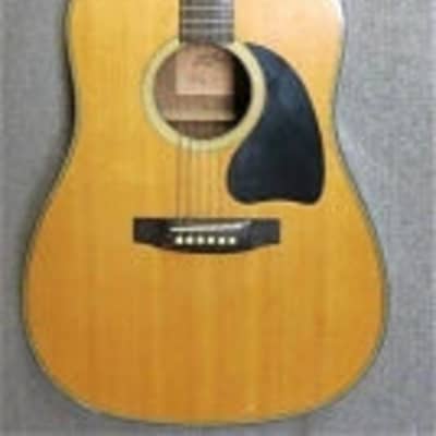B.C Rich BW1000 Acoustic Guitar  - PRE OWNED for sale
