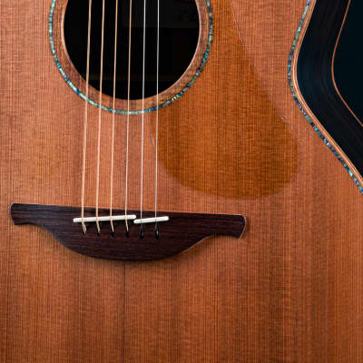 Lowden F-50 African Blackwood and Sinker Redwood with Abalone Top Trim, Inlay Package and Leaf Inlays NEW image 6