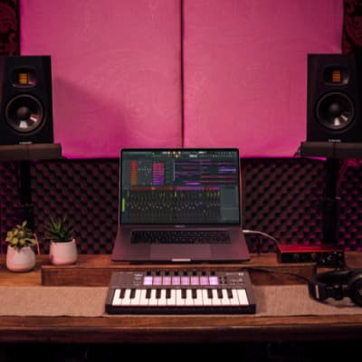 Novation FLkey Mini image 6