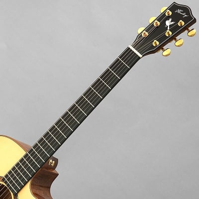 headway hoc-northbird 美品 Headway HOC-NORTHBIRD | Reverb