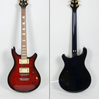 Raven Guitars ( pre Raven West ) PRS Style Solid Body @ LA Guitar sales image 2