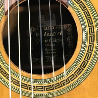 Giannini GWNC1 Sevilha Classical Guitar with Gig Bag Made in Brazil image 5