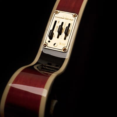 Washburn M3SWETWRK Americana Series Florentine F-Style Acoustic-Electric Mandolin w/Hardshell Case image 5