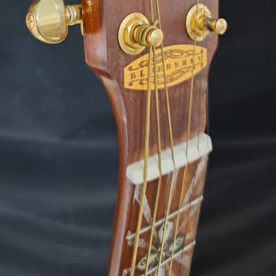 Blueberry  NEW IN STOCK Handmade GUITALELE  Acoustic Guitar - Ukulele Sized 6-String image 6