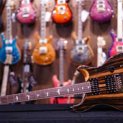 PRS SE Exotic Custom 24 floyd ebony | Reverb