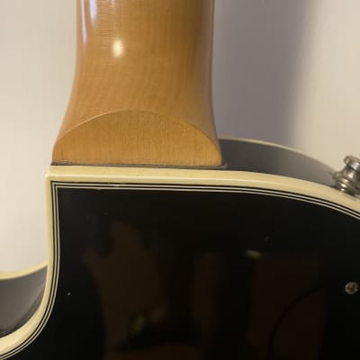 Gibson Les Paul (Zakk Wylde Custom Vertigo) 2012 - Vertigo image 8