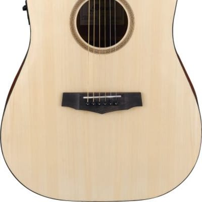 Ibanez Pf10 Ce Opn   Open Pore Natural for sale