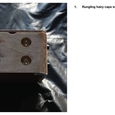 Ciat-Lonbarde DogeVox image 7