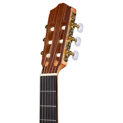 Cordoba C1M Protege Full Nylon-String Acoustic Guitar Rosewood Board Natural image 6