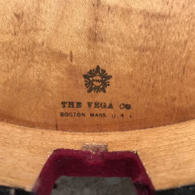 Vega Moderne Tenor Banjo image 9