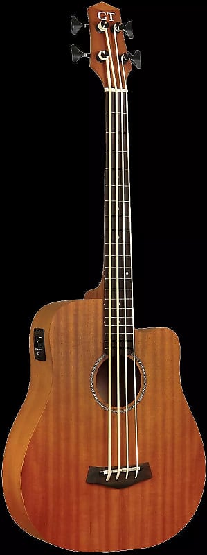 Gold Tone M-Bass25FL 25-Inch Scale Fretless 4-String Acoustic-Electric MicroBass w/Hard Case image 1