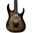 Ibanez RG1120PBZCKB Premium Series Electric Guitar - Charcoal Black Burst
